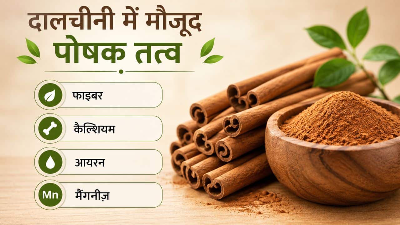 dalchini benefits