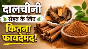 दालचीनी सिर्फ मसाला नहीं! सेहत पर भी डालती है असर, जानिए फायदे, नुकसान और एक्सपर्ट की राय