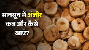 मानसून में सूखा अंजीर कब और कैसे खाना चाहिए? जानें इसके फायदे और सही तरीका