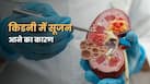 किन लक्षणों से होती है किडनी में सूजन की पहचान? जानें कारण और बचाव