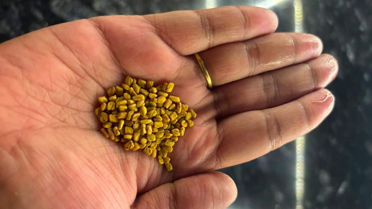 लोगों के मन में आने वाले आम सवाल