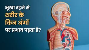 भूखा रहने से शरीर के कौन से ऑर्गन खराब हो सकते हैं?