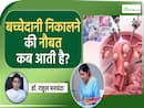 बच्चेदानी निकलवाने के पीछे ये हैं बड़े कारण| Women's Uterus Removal