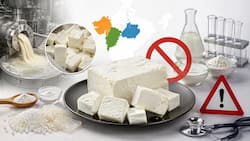 What is analogue paneer? Why Gujarat, Maharashtra and Chhattisgarh banned it, ingredients, health risks and safety explained