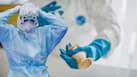H5N1 bird flu vaccine: Australia to vaccinate endangered birds against clade 2.3.4.4b - how dangerous is the virus?