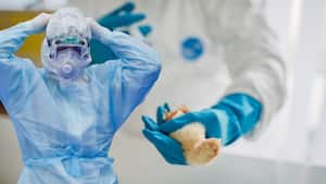 H5N1 bird flu vaccine: Australia to vaccinate endangered birds against clade 2.3.4.4b - how dangerous is the virus?