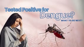 Dengue treatment explained: What to do immediately after testing positive for dengue virus for faster recovery?
