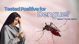 Dengue treatment explained: What to do immediately after testing positive for dengue virus for faster recovery?