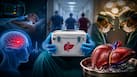 World Organ Donation Day 2026: From brain death to transplant - What happens to a donated organ?