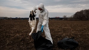 H5N1 Bird flu lockdown in Australia: Victoria state orders urgent warning as deadly virus spreads rapidly - Is India at risk too?