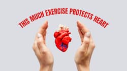 Scientists reveal how much exercise may offer greater protection for your heart