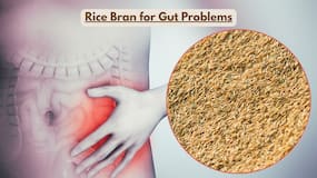 Rice bran compound could offer natural relief for gut motility disorders