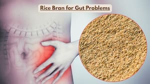 Rice bran compound could offer natural relief for gut motility disorders