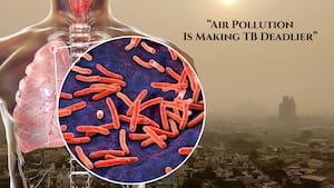 Study links high PM2.5 exposure to increased risk of death among tuberculosis patients during treatment