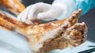 Scientists surprise everyone by finding new life on 5,300-year-old Ötzi Iceman's body