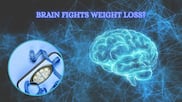 Why your brain fights to regain lost weight, study finds