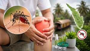 Kerala reports 105 confirmed chikungunya cases: Symptoms, treatment and prevention tips everyone should know