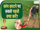 सांप के काटने पर सबसे पहले क्या करें? जानें क्या हर सांप होता है जहरीला?