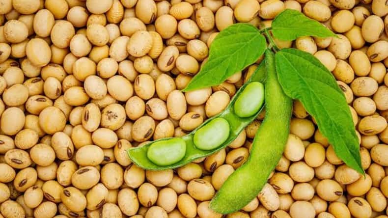 5 plant-based foods packed with omega-3 fatty acids