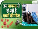 गुजरात में फैला ये जानलेवा वायरस, अब तक इतने बच्चों की मौत! Chandipura Virus in Gujrat
