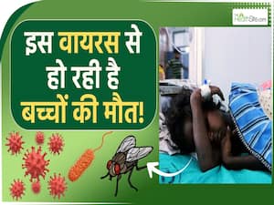 गुजरात में फैला ये जानलेवा वायरस, अब तक इतने बच्चों की मौत! Chandipura Virus in Gujrat