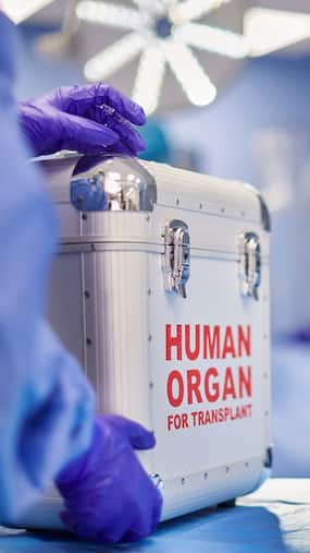 Can you live a normal life with one kidney?