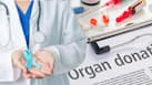 World Organ Donation Day 2026: Life after liver transplant - What recovery looks like and how patients can rebuild their lives