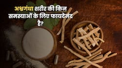 क्या रोज अश्वगंधा खाना फायदेमंद है? जानिए दिमाग और शरीर पर इसका वैज्ञानिक असर