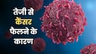 कैंसर के मामले तेजी से क्यों बढ़ रहे हैं? डॉक्टर से जानें 5 बड़े कारण