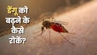 बारिश के बाद Dengue का खतरा क्यों बढ़ता है? घर में मच्छर रोकने के 7 तरीके