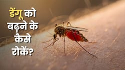 बारिश के बाद Dengue का खतरा क्यों बढ़ता है? घर में मच्छर रोकने के 7 तरीके