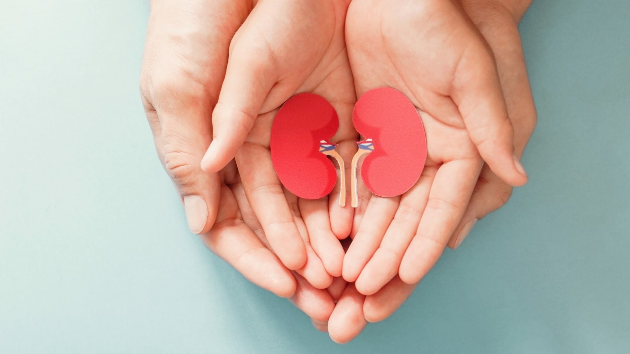 organ donation