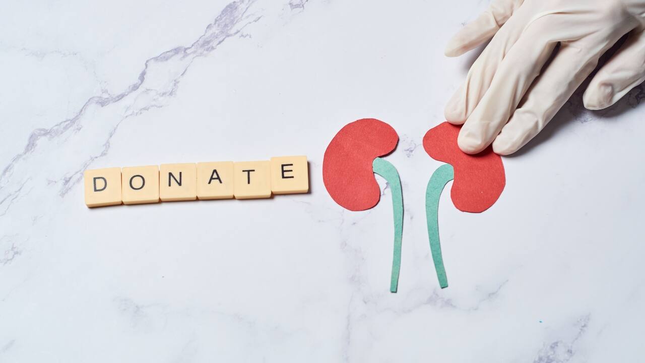 organ donation