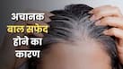 अचानक बाल सफेद होने का क्या कारण है? एक्सपर्ट से जानें