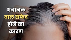 अचानक बाल सफेद होने का क्या कारण है? एक्सपर्ट से जानें